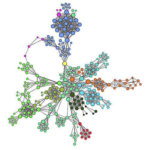 Research | Network Graphs | Janet Cameron Network